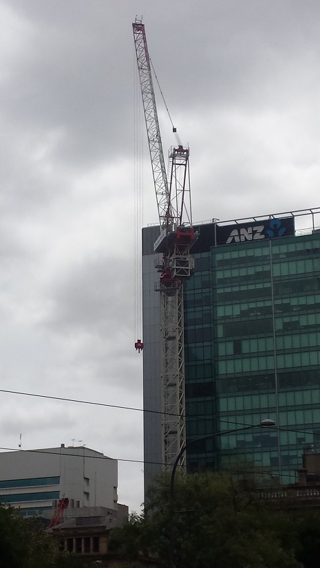 20180130_vic crane 2.jpg