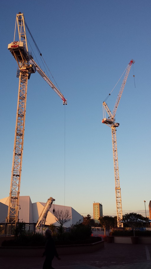 20180714_crane 2.jpg