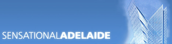 logo_senadl.png