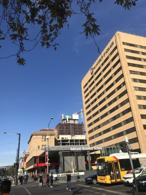 adelaidean 4.jpg