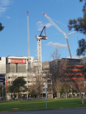 20190727_crane 2.jpg