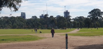 20190804_adelaidean.jpg