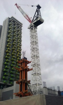 20200119_crane.jpg