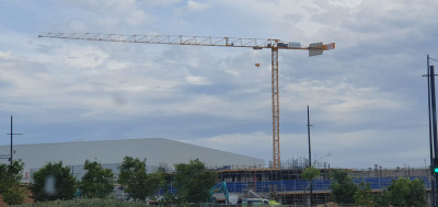 20241116_tonsely crane 2.jpg