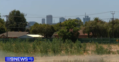Screenshot 2025-02-09 220251.jpg