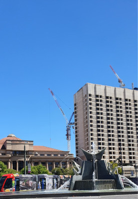 20250304_market crane.jpg