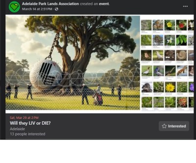 livgolf.jpg