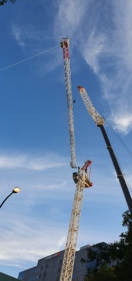20250322_halifax 3.jpg