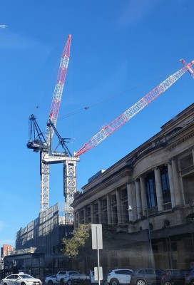 20250327_market 1.jpg