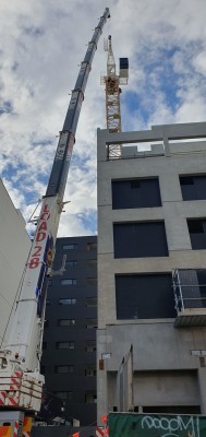 20250409_KW crane 1.jpg