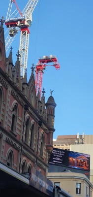 20210825_crane.jpg